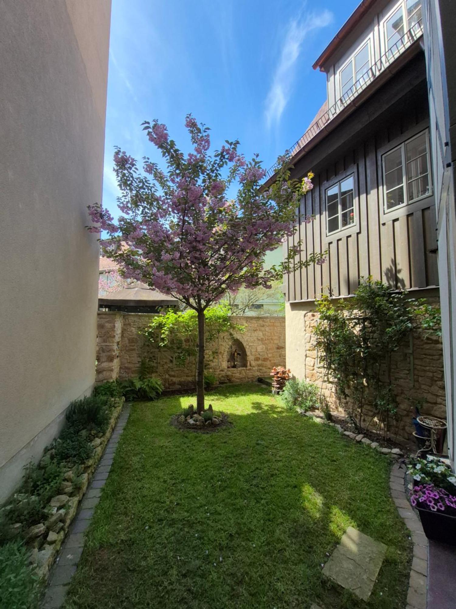 Aussergewoehnliches, Historisches, Spaetgotisches Wohnhaus Von 1519, Gries 5 Gera Buitenkant foto